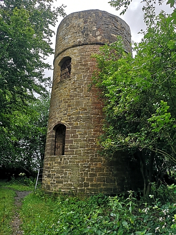 The Tower